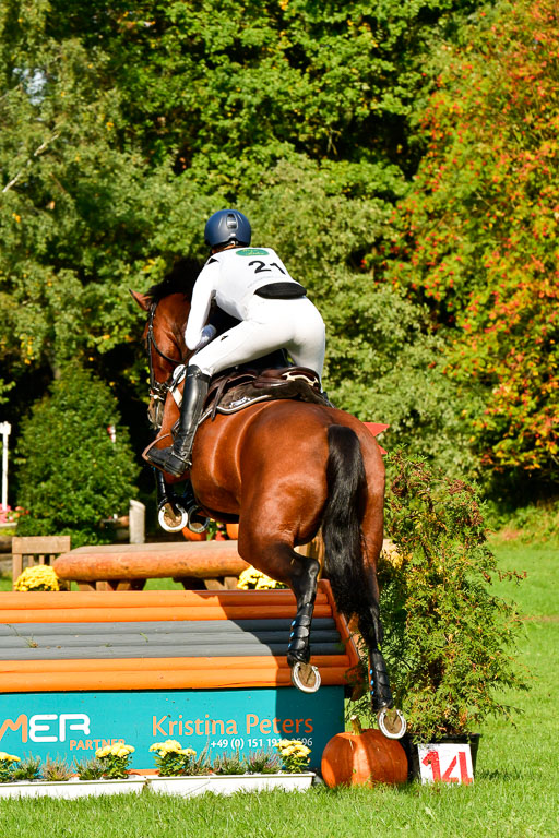 RFV Mechtersen Vögelsen  VARFV Mechtersen Vögelsen  VA  26.09.2021RFV Mechtersen Vögelsen  VA  26.09.2021  26.09.2021 | A++  REI  LK 5-6_214 