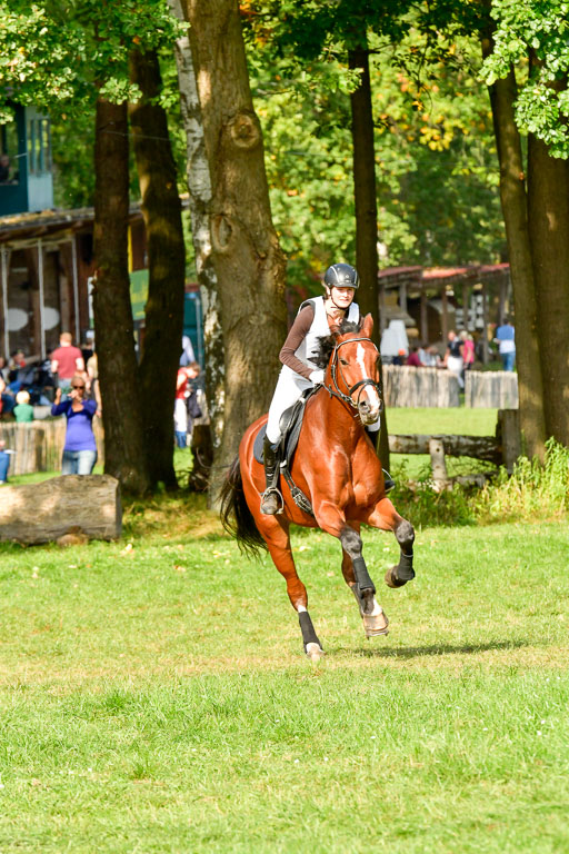 RFV Mechtersen Vögelsen  VARFV Mechtersen Vögelsen  VA  26.09.2021RFV Mechtersen Vögelsen  VA  26.09.2021  26.09.2021 | A++  REI  LK 5-6_215 