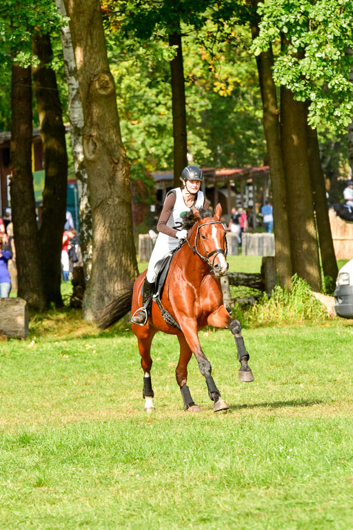 RFV Mechtersen Vögelsen  VARFV Mechtersen Vögelsen  VA  26.09.2021RFV Mechtersen Vögelsen  VA  26.09.2021  26.09.2021 | A++  REI  LK 5-6_216 