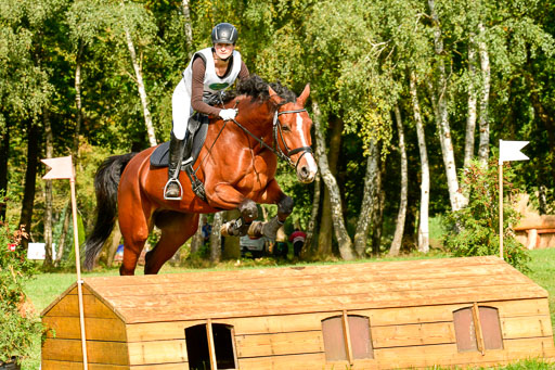 RFV Mechtersen Vögelsen  VARFV Mechtersen Vögelsen  VA  26.09.2021RFV Mechtersen Vögelsen  VA  26.09.2021  26.09.2021 | A++  REI  LK 5-6_217 