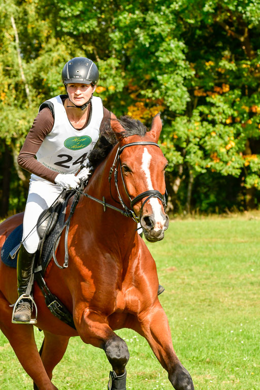 RFV Mechtersen Vögelsen  VARFV Mechtersen Vögelsen  VA  26.09.2021RFV Mechtersen Vögelsen  VA  26.09.2021  26.09.2021 | A++  REI  LK 5-6_218 