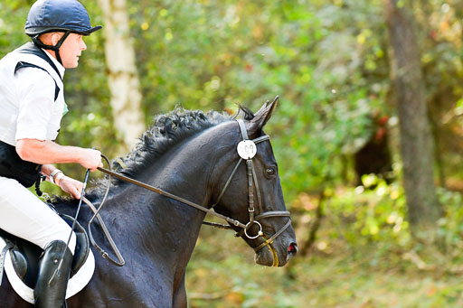 RFV Mechtersen Vögelsen  VARFV Mechtersen Vögelsen  VA  26.09.2021RFV Mechtersen Vögelsen  VA  26.09.2021  26.09.2021 | A++  REI  LK 5-6_222 
