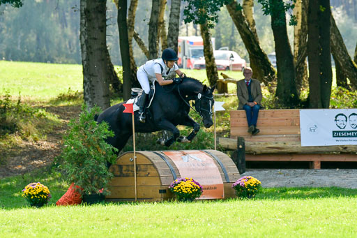 RFV Mechtersen Vögelsen  VARFV Mechtersen Vögelsen  VA  26.09.2021RFV Mechtersen Vögelsen  VA  26.09.2021  26.09.2021 | A++  REI  LK 5-6_224 