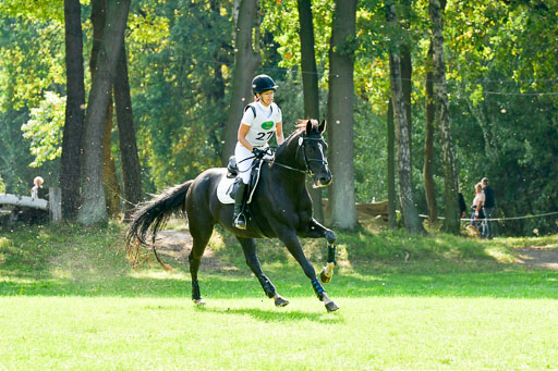 RFV Mechtersen Vögelsen  VARFV Mechtersen Vögelsen  VA  26.09.2021RFV Mechtersen Vögelsen  VA  26.09.2021  26.09.2021 | A++  REI  LK 5-6_225 