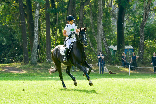 RFV Mechtersen Vögelsen  VARFV Mechtersen Vögelsen  VA  26.09.2021RFV Mechtersen Vögelsen  VA  26.09.2021  26.09.2021 | A++  REI  LK 5-6_227 