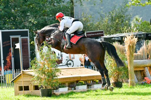 RFV Mechtersen Vögelsen  VARFV Mechtersen Vögelsen  VA  26.09.2021RFV Mechtersen Vögelsen  VA  26.09.2021  26.09.2021 | A++  REI  LK 5-6_230 