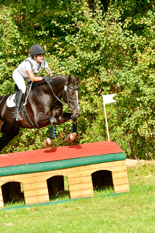 RFV Mechtersen Vögelsen  VARFV Mechtersen Vögelsen  VA  26.09.2021RFV Mechtersen Vögelsen  VA  26.09.2021  26.09.2021 | A++  REI  LK 5-6_236 