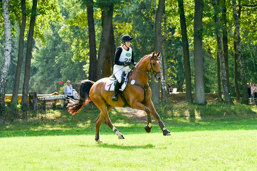 RFV Mechtersen Vögelsen  VARFV Mechtersen Vögelsen  VA  26.09.2021RFV Mechtersen Vögelsen  VA  26.09.2021  26.09.2021 | A++  REI  LK 5-6_240 