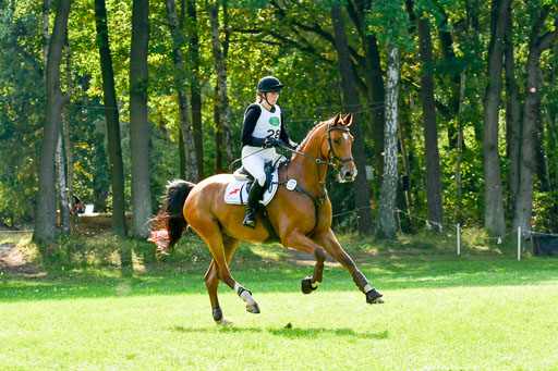 RFV Mechtersen Vögelsen  VARFV Mechtersen Vögelsen  VA  26.09.2021RFV Mechtersen Vögelsen  VA  26.09.2021  26.09.2021 | A++  REI  LK 5-6_242 