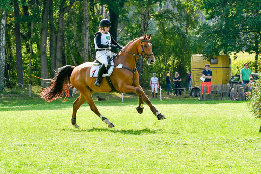 RFV Mechtersen Vögelsen  VARFV Mechtersen Vögelsen  VA  26.09.2021RFV Mechtersen Vögelsen  VA  26.09.2021  26.09.2021 | A++  REI  LK 5-6_244 