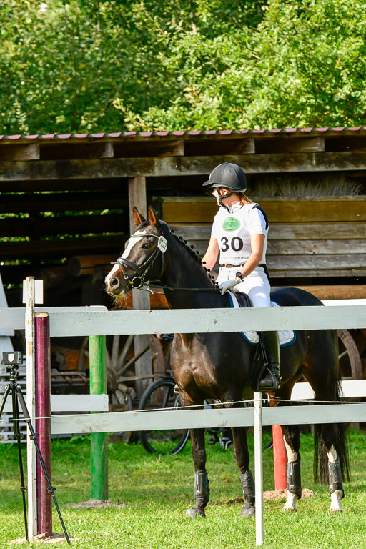 RFV Mechtersen Vögelsen  VARFV Mechtersen Vögelsen  VA  26.09.2021RFV Mechtersen Vögelsen  VA  26.09.2021  26.09.2021 | A++  REI  LK 5-6_246 