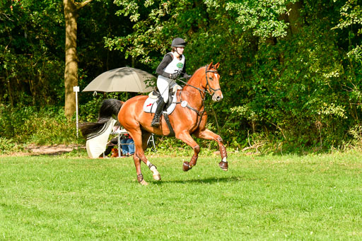 RFV Mechtersen Vögelsen  VARFV Mechtersen Vögelsen  VA  26.09.2021RFV Mechtersen Vögelsen  VA  26.09.2021  26.09.2021 | A++  REI  LK 5-6_249 