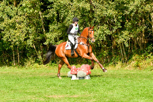RFV Mechtersen Vögelsen  VARFV Mechtersen Vögelsen  VA  26.09.2021RFV Mechtersen Vögelsen  VA  26.09.2021  26.09.2021 | A++  REI  LK 5-6_250 