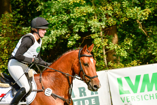 RFV Mechtersen Vögelsen  VARFV Mechtersen Vögelsen  VA  26.09.2021RFV Mechtersen Vögelsen  VA  26.09.2021  26.09.2021 | A++  REI  LK 5-6_253 