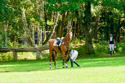 RFV Mechtersen Vögelsen  VARFV Mechtersen Vögelsen  VA  26.09.2021RFV Mechtersen Vögelsen  VA  26.09.2021  26.09.2021 | A++  REI  LK 5-6_254 