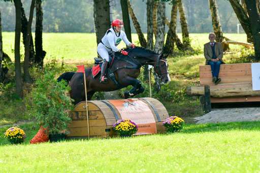 RFV Mechtersen Vögelsen  VARFV Mechtersen Vögelsen  VA  26.09.2021RFV Mechtersen Vögelsen  VA  26.09.2021  26.09.2021 | A++  REI  LK 5-6_255 