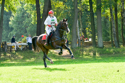 RFV Mechtersen Vögelsen  VARFV Mechtersen Vögelsen  VA  26.09.2021RFV Mechtersen Vögelsen  VA  26.09.2021  26.09.2021 | A++  REI  LK 5-6_257 