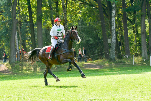 RFV Mechtersen Vögelsen  VARFV Mechtersen Vögelsen  VA  26.09.2021RFV Mechtersen Vögelsen  VA  26.09.2021  26.09.2021 | A++  REI  LK 5-6_259 