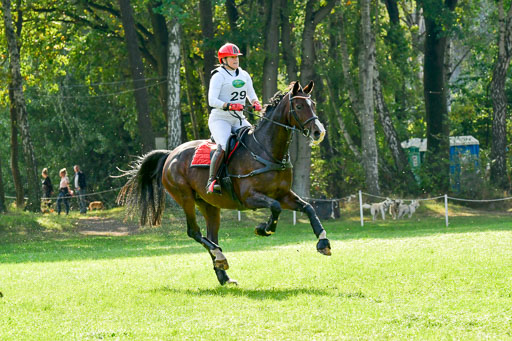 RFV Mechtersen Vögelsen  VARFV Mechtersen Vögelsen  VA  26.09.2021RFV Mechtersen Vögelsen  VA  26.09.2021  26.09.2021 | A++  REI  LK 5-6_260 