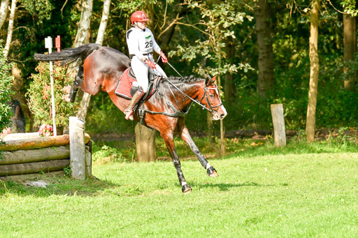 RFV Mechtersen Vögelsen  VARFV Mechtersen Vögelsen  VA  26.09.2021RFV Mechtersen Vögelsen  VA  26.09.2021  26.09.2021 | A++  REI  LK 5-6_263 