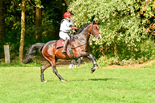 RFV Mechtersen Vögelsen  VARFV Mechtersen Vögelsen  VA  26.09.2021RFV Mechtersen Vögelsen  VA  26.09.2021  26.09.2021 | A++  REI  LK 5-6_264 