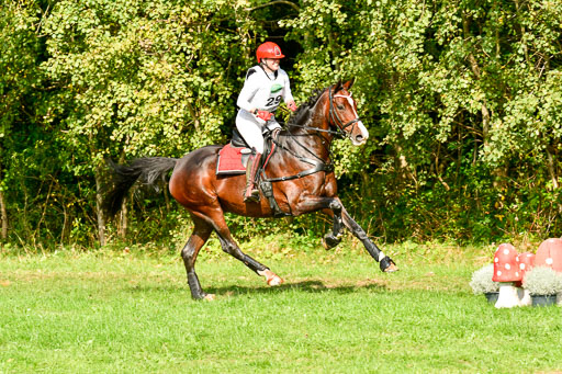 RFV Mechtersen Vögelsen  VARFV Mechtersen Vögelsen  VA  26.09.2021RFV Mechtersen Vögelsen  VA  26.09.2021  26.09.2021 | A++  REI  LK 5-6_266 