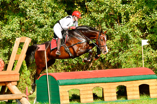 RFV Mechtersen Vögelsen  VARFV Mechtersen Vögelsen  VA  26.09.2021RFV Mechtersen Vögelsen  VA  26.09.2021  26.09.2021 | A++  REI  LK 5-6_267 