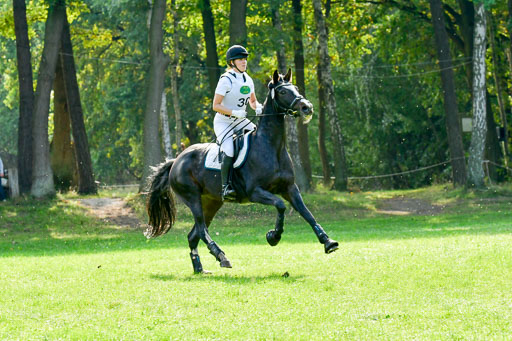 RFV Mechtersen Vögelsen  VARFV Mechtersen Vögelsen  VA  26.09.2021RFV Mechtersen Vögelsen  VA  26.09.2021  26.09.2021 | A++  REI  LK 5-6_271 