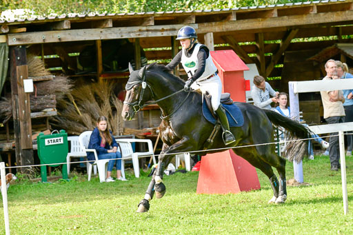RFV Mechtersen Vögelsen  VARFV Mechtersen Vögelsen  VA  26.09.2021RFV Mechtersen Vögelsen  VA  26.09.2021  26.09.2021 | A++  REI  LK 5-6_293 