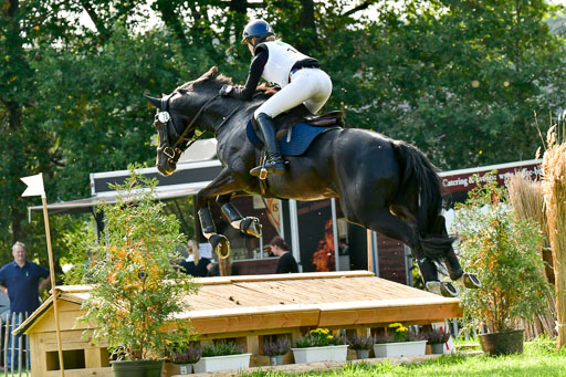 RFV Mechtersen Vögelsen  VARFV Mechtersen Vögelsen  VA  26.09.2021RFV Mechtersen Vögelsen  VA  26.09.2021  26.09.2021 | A++  REI  LK 5-6_295 