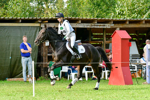 RFV Mechtersen Vögelsen  VARFV Mechtersen Vögelsen  VA  26.09.2021RFV Mechtersen Vögelsen  VA  26.09.2021  26.09.2021 | A++  REI  LK 5-6_296 