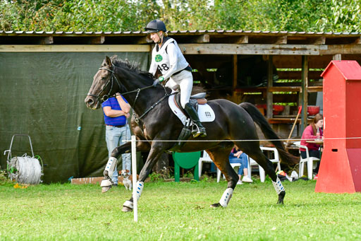 RFV Mechtersen Vögelsen  VARFV Mechtersen Vögelsen  VA  26.09.2021RFV Mechtersen Vögelsen  VA  26.09.2021  26.09.2021 | A++  REI  LK 5-6_297 