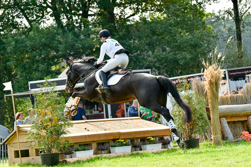 RFV Mechtersen Vögelsen  VARFV Mechtersen Vögelsen  VA  26.09.2021RFV Mechtersen Vögelsen  VA  26.09.2021  26.09.2021 | A++  REI  LK 5-6_299 