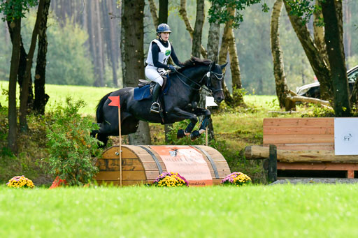 RFV Mechtersen Vögelsen  VARFV Mechtersen Vögelsen  VA  26.09.2021RFV Mechtersen Vögelsen  VA  26.09.2021  26.09.2021 | A++  REI  LK 5-6_300 