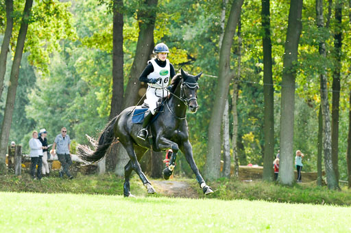 RFV Mechtersen Vögelsen  VARFV Mechtersen Vögelsen  VA  26.09.2021RFV Mechtersen Vögelsen  VA  26.09.2021  26.09.2021 | A++  REI  LK 5-6_302 