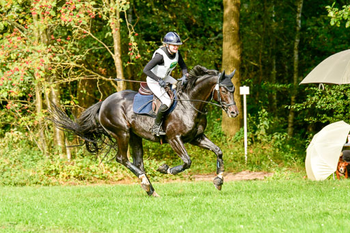 RFV Mechtersen Vögelsen  VARFV Mechtersen Vögelsen  VA  26.09.2021RFV Mechtersen Vögelsen  VA  26.09.2021  26.09.2021 | A++  REI  LK 5-6_306 