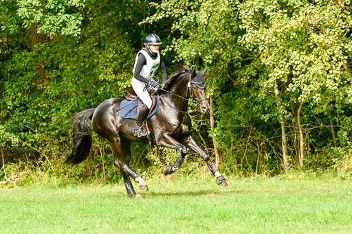 RFV Mechtersen Vögelsen  VARFV Mechtersen Vögelsen  VA  26.09.2021RFV Mechtersen Vögelsen  VA  26.09.2021  26.09.2021 | A++  REI  LK 5-6_307 