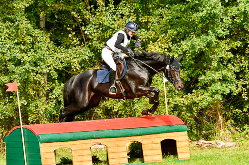 RFV Mechtersen Vögelsen  VARFV Mechtersen Vögelsen  VA  26.09.2021RFV Mechtersen Vögelsen  VA  26.09.2021  26.09.2021 | A++  REI  LK 5-6_308 