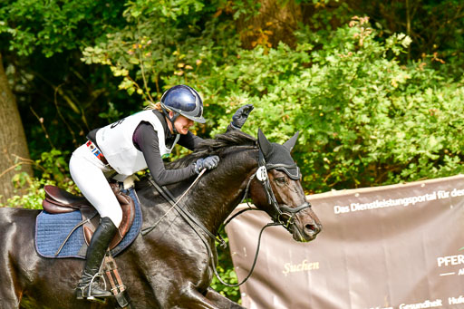 RFV Mechtersen Vögelsen  VARFV Mechtersen Vögelsen  VA  26.09.2021RFV Mechtersen Vögelsen  VA  26.09.2021  26.09.2021 | A++  REI  LK 5-6_309 