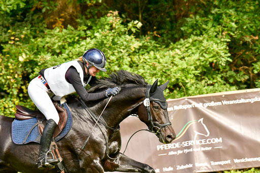 RFV Mechtersen Vögelsen  VARFV Mechtersen Vögelsen  VA  26.09.2021RFV Mechtersen Vögelsen  VA  26.09.2021  26.09.2021 | A++  REI  LK 5-6_310 