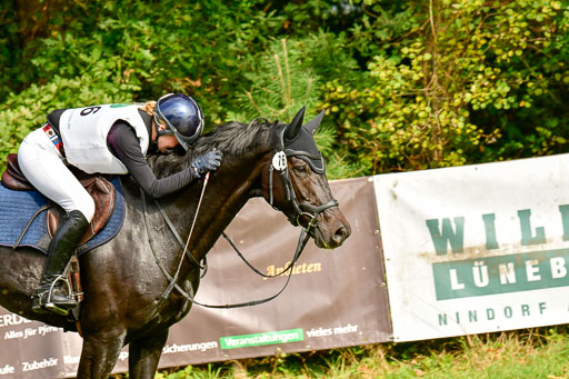 RFV Mechtersen Vögelsen  VARFV Mechtersen Vögelsen  VA  26.09.2021RFV Mechtersen Vögelsen  VA  26.09.2021  26.09.2021 | A++  REI  LK 5-6_311 