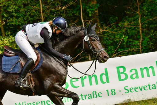 RFV Mechtersen Vögelsen  VARFV Mechtersen Vögelsen  VA  26.09.2021RFV Mechtersen Vögelsen  VA  26.09.2021  26.09.2021 | A++  REI  LK 5-6_313 