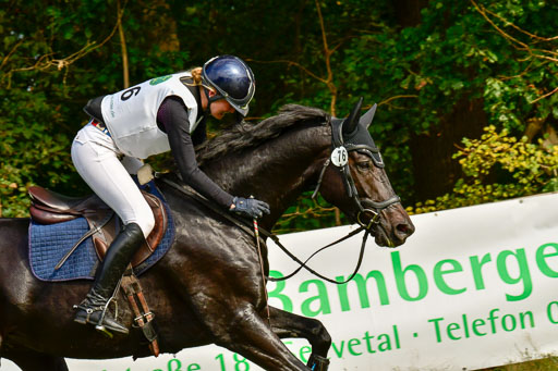 RFV Mechtersen Vögelsen  VARFV Mechtersen Vögelsen  VA  26.09.2021RFV Mechtersen Vögelsen  VA  26.09.2021  26.09.2021 | A++  REI  LK 5-6_314 