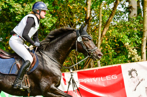 RFV Mechtersen Vögelsen  VARFV Mechtersen Vögelsen  VA  26.09.2021RFV Mechtersen Vögelsen  VA  26.09.2021  26.09.2021 | A++  REI  LK 5-6_315 