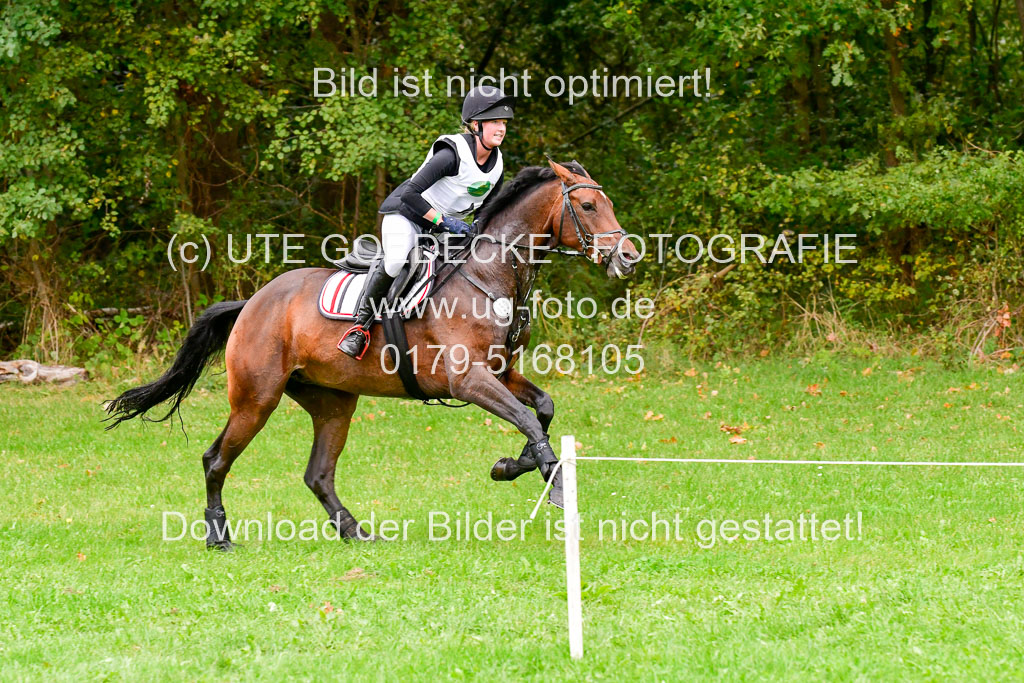 CCICCIS Mechtersen  25.9.2021CCIS Mechtersen  25.9.2021S  Mechtersen 25.9.21 | CCI++ Gelände _012 