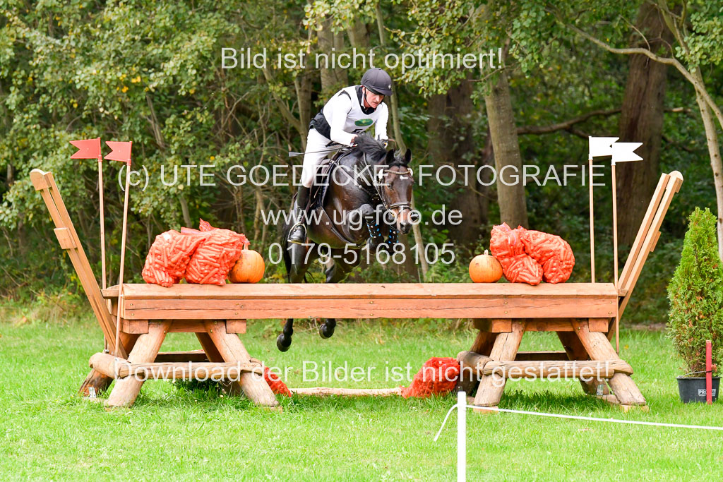 CCIS  Mechtersen 25.9.21 | CCI++ Gelände _026 