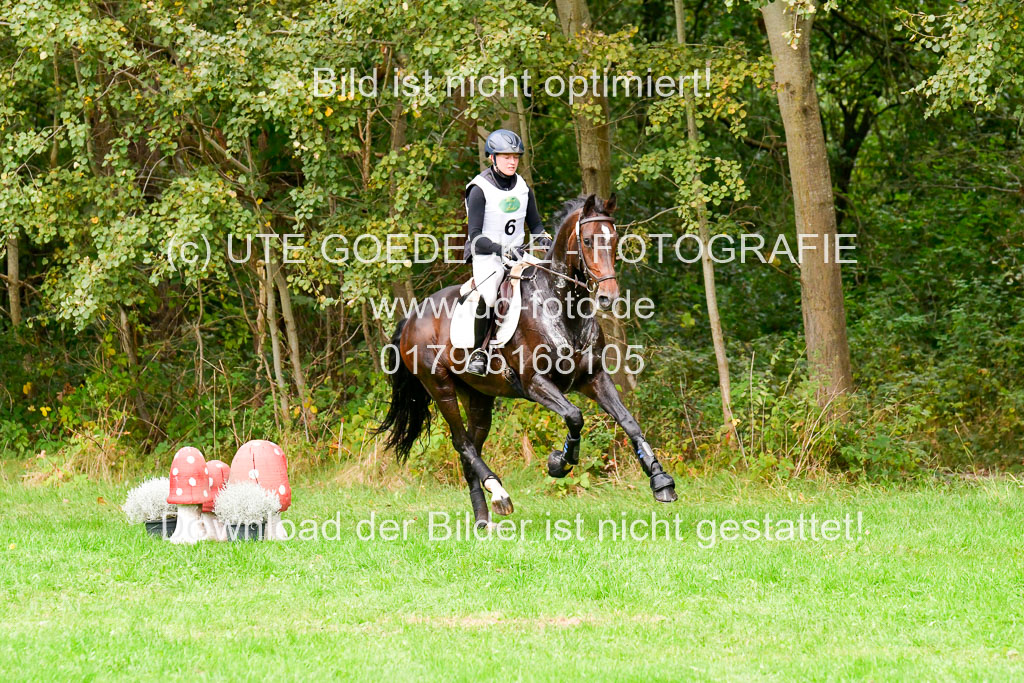CCIS  Mechtersen 25.9.21 | CCI++ Gelände _032 