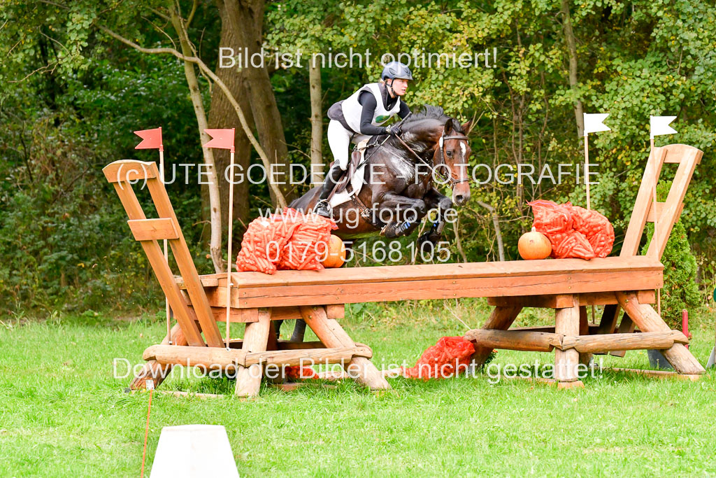 CCIS Mechtersen 25.9.21 | CCI++ Gelände _033