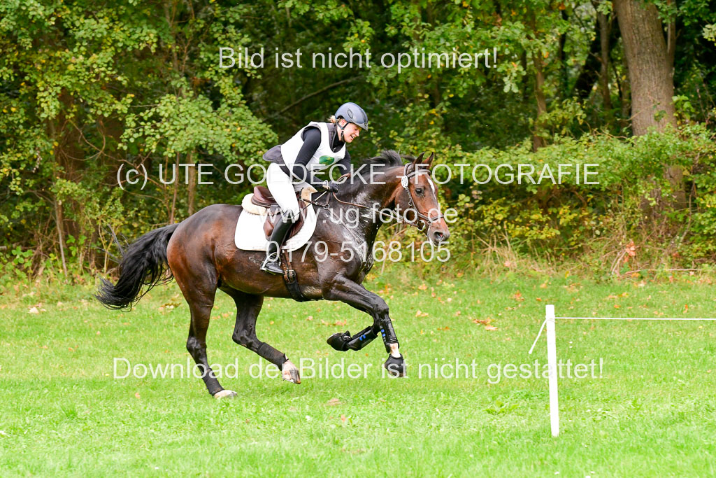 CCIS  Mechtersen 25.9.21 | CCI++ Gelände _036 