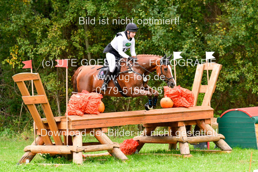CCIS Mechtersen 25.9.21 | CCI++ Gelände _149